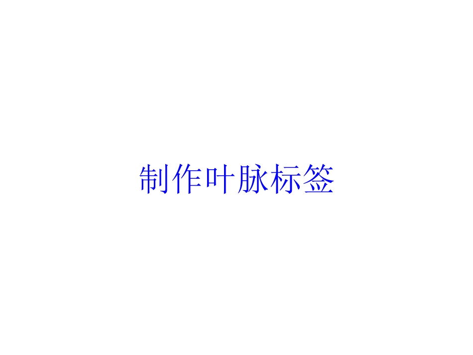 制作叶脉标签培训课件.pptx_第1页