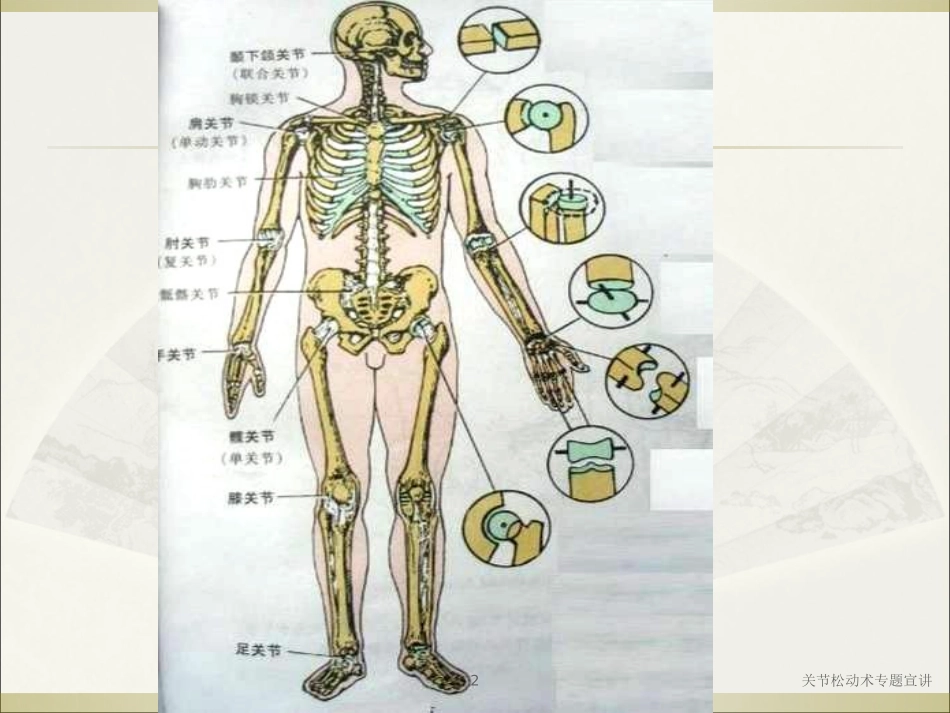 关节松动术专题宣讲培训课件.pptx_第2页