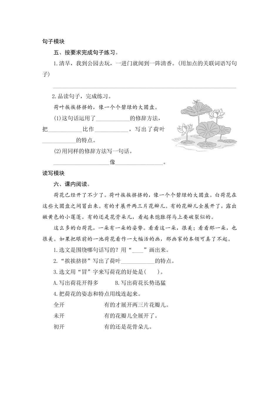 有答案-人教部编版三年级语文下册3荷花.pdf_第2页