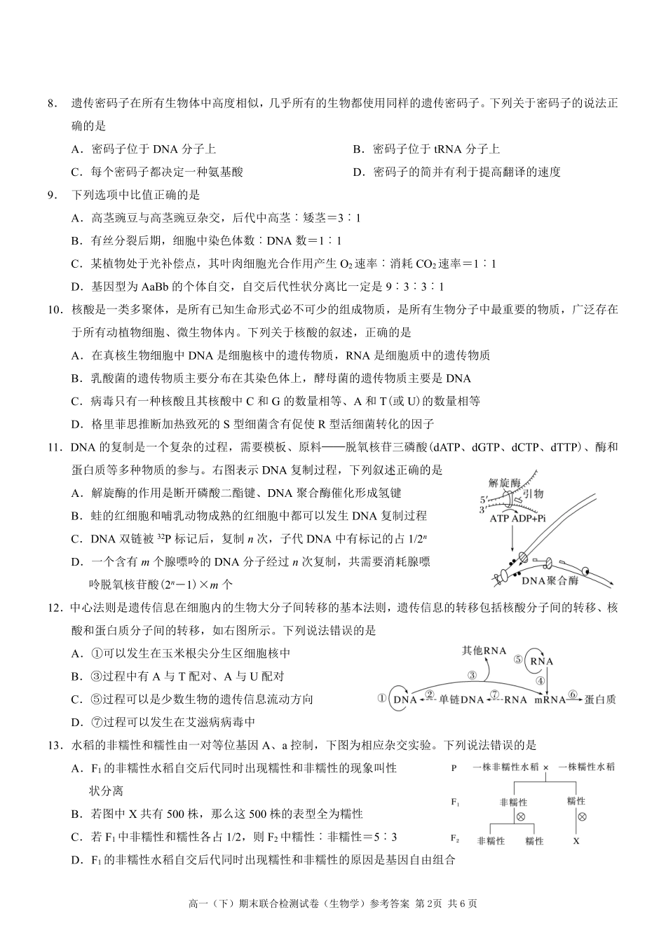 2025年重庆高一康德期末生物试卷及答案.pdf_第2页