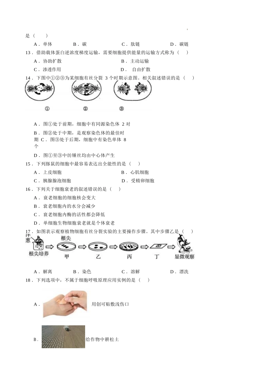 江苏省2025年普通高中学业水平合格性考试生物仿真模拟卷01（考试版).docx_第3页