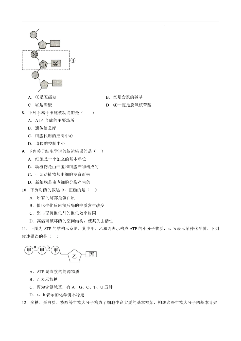 江苏省2025年普通高中学业水平合格性考试生物仿真模拟卷01（考试版).pdf_第2页