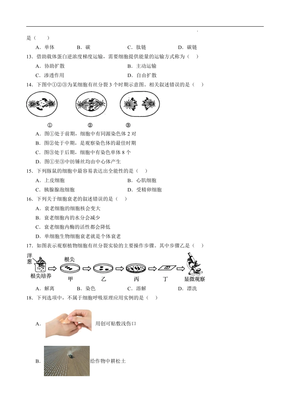江苏省2025年普通高中学业水平合格性考试生物仿真模拟卷01（考试版).pdf_第3页