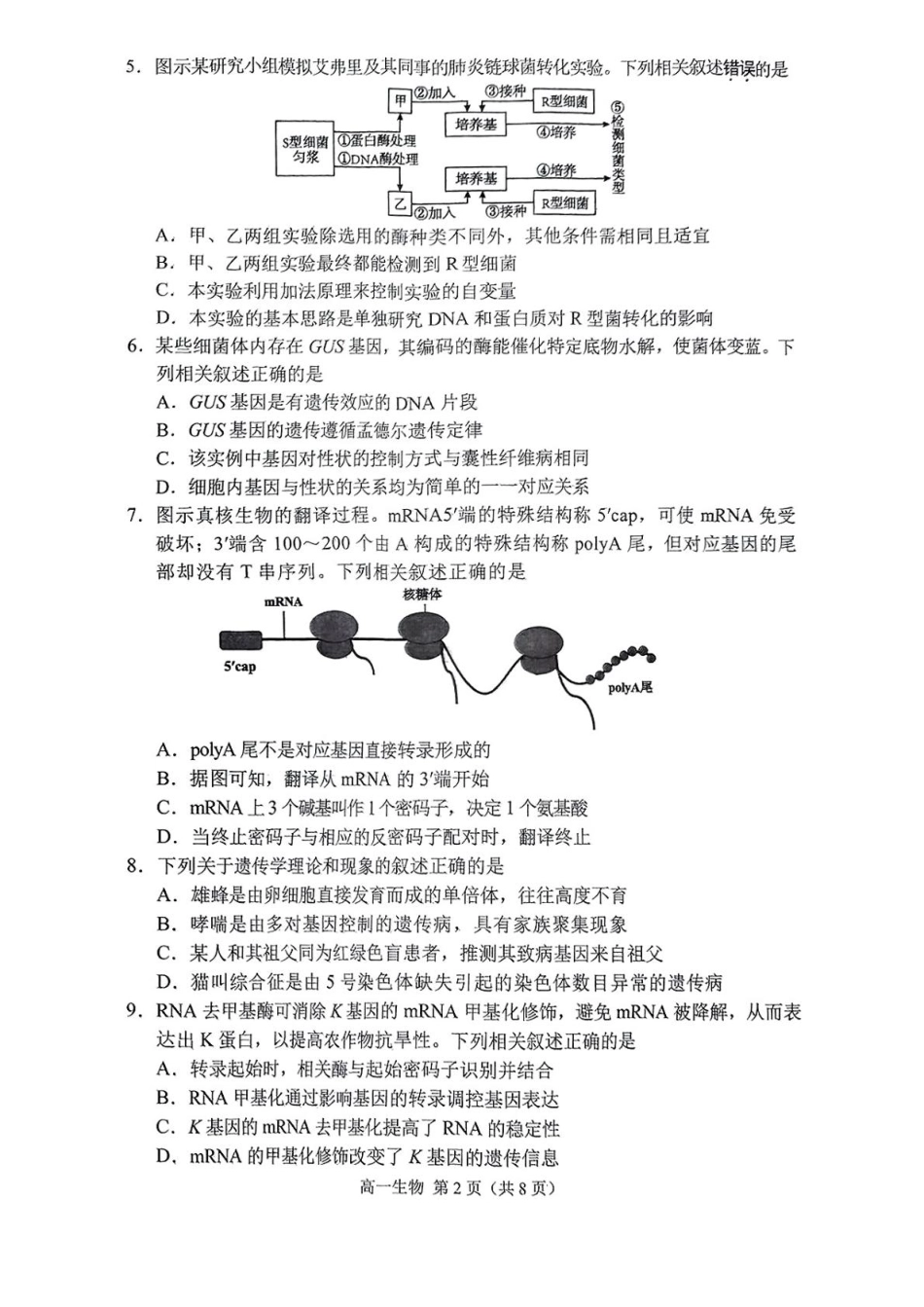 江苏省苏州市2024-2025学年高一下学期学业质量阳光指标调研生物试卷.pdf_第2页
