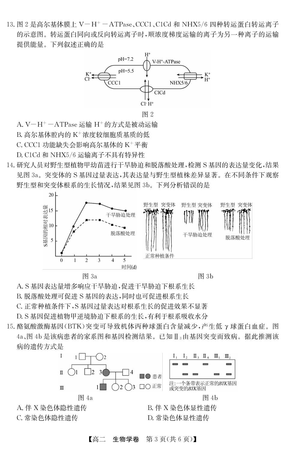 金太阳广东省清远市2024-2025学年第二学期高二期末教学质检5466B生物学.pdf_第3页