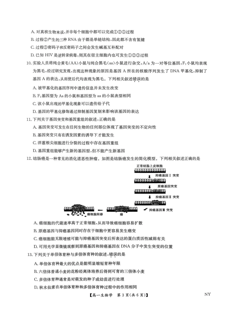 九师联考2024-2025学年高一下学期6月期末考试生物试题.pdf_第3页