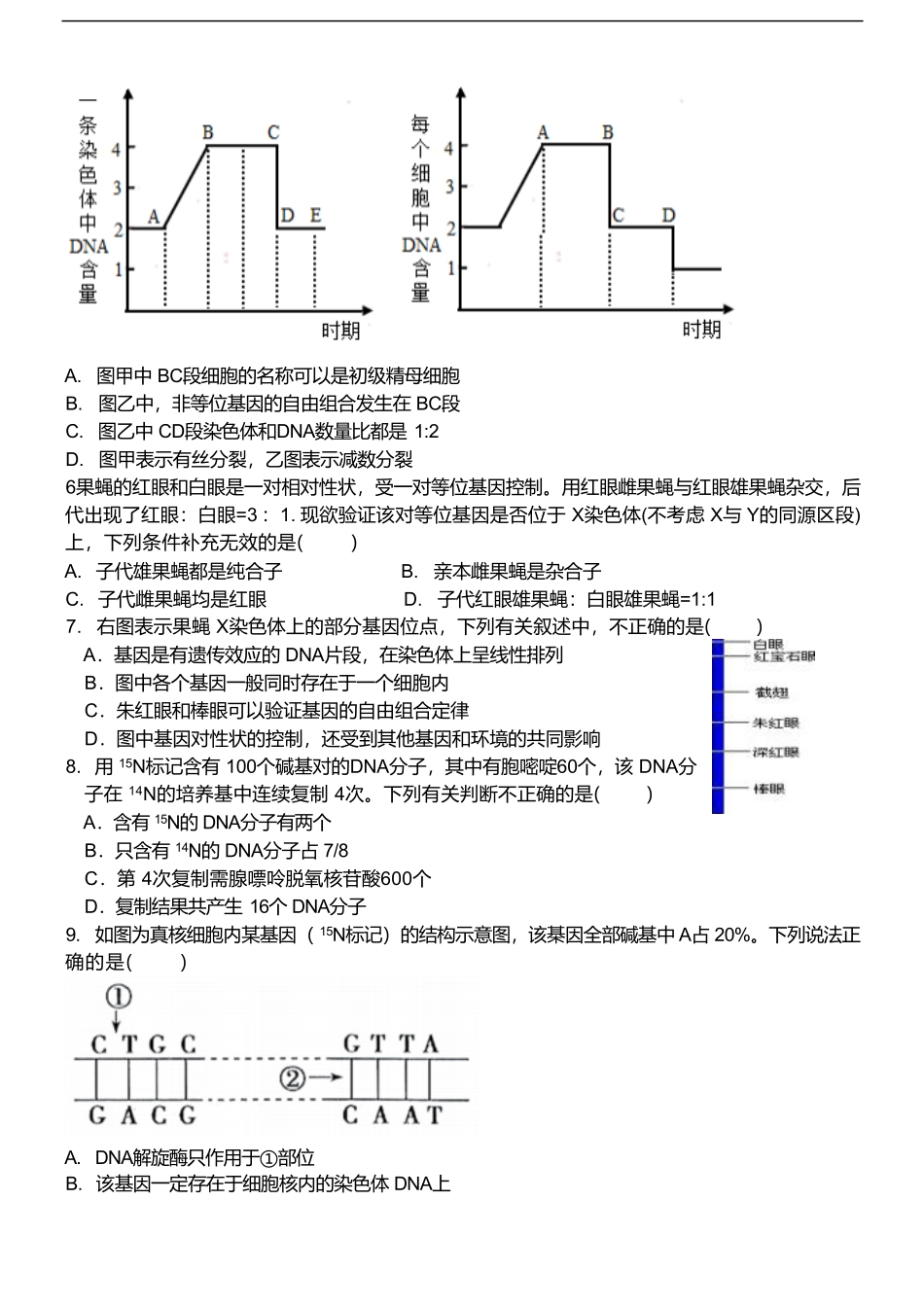 山东省泰安第一中学2024-2025学年高一下学期6月份学情检测生物试卷（有答案）.pdf_第2页
