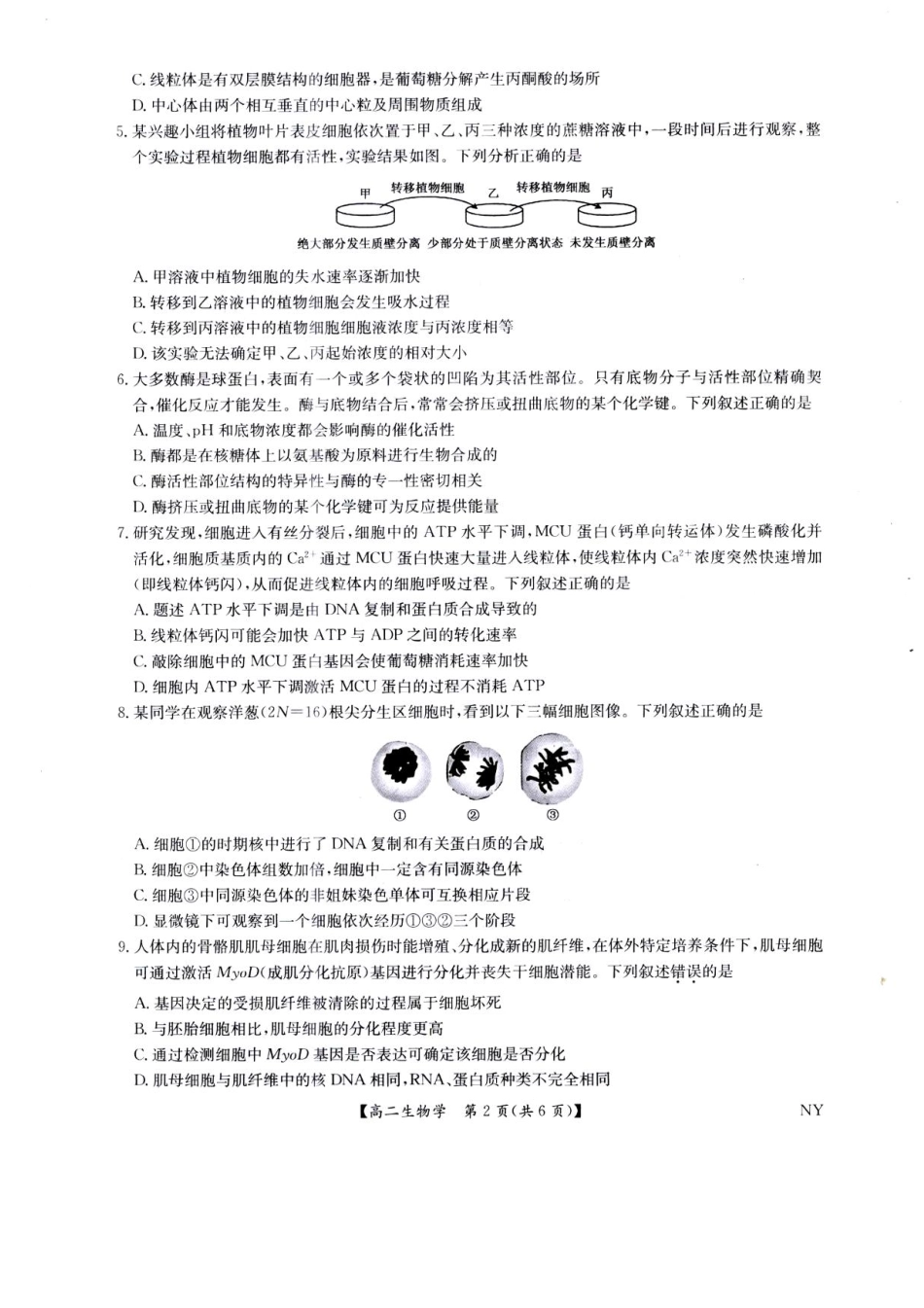 生物试卷（下标NY）+答案【河南卷】【高二下期末考】河南省南阳市九师联盟2024-2025学年高二下学期6月期末考试（下标NY）（6.18-6.9）.pdf_第2页