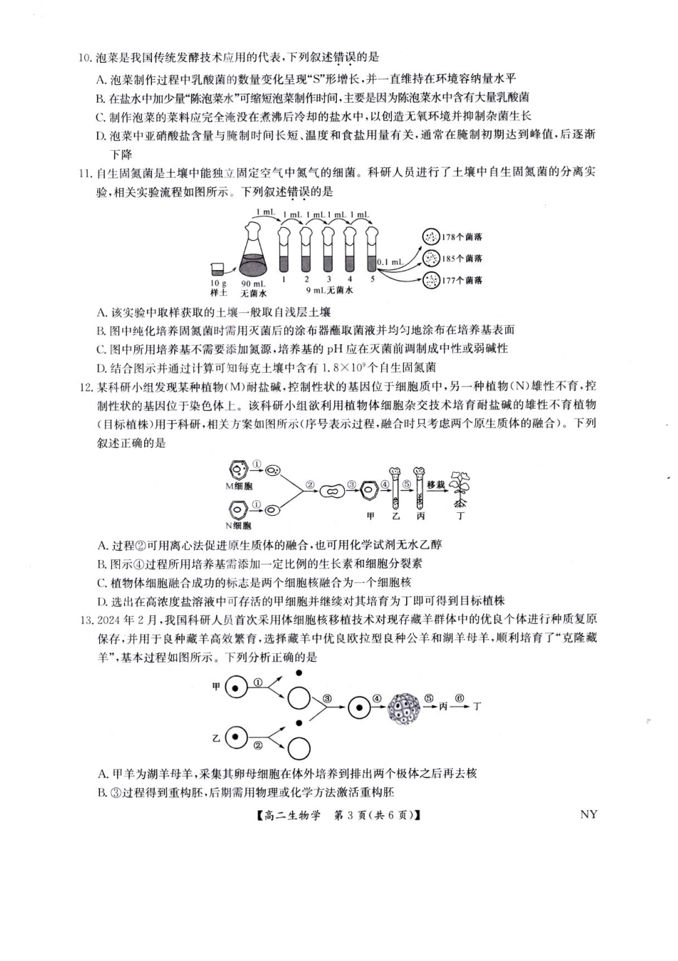 生物试卷（下标NY）+答案【河南卷】【高二下期末考】河南省南阳市九师联盟2024-2025学年高二下学期6月期末考试（下标NY）（6.18-6.9）.pdf_第3页