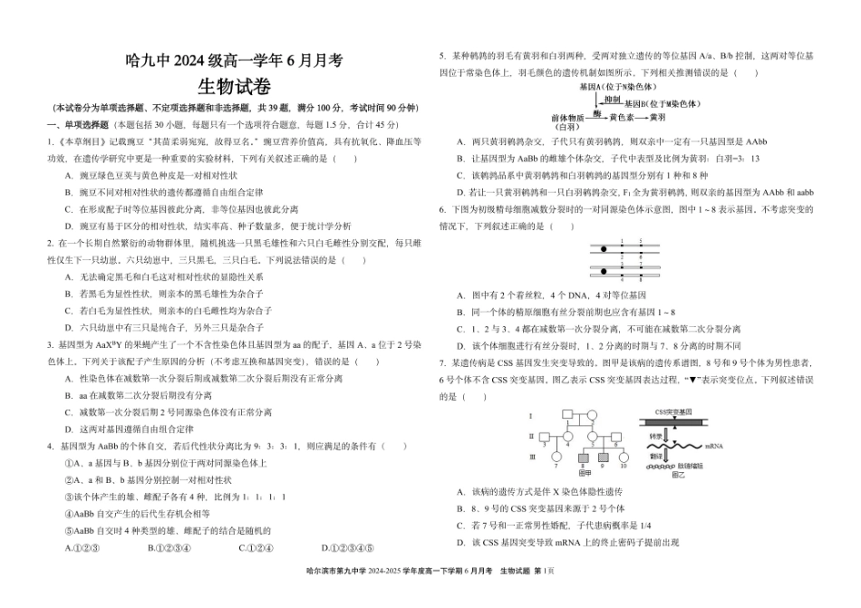 生物试卷【黑龙江名校】【黑吉辽蒙卷】【高一】黑龙江省哈九中2024级（2027届）高一下学期6月月考（6.18-6.19）.pdf_第1页