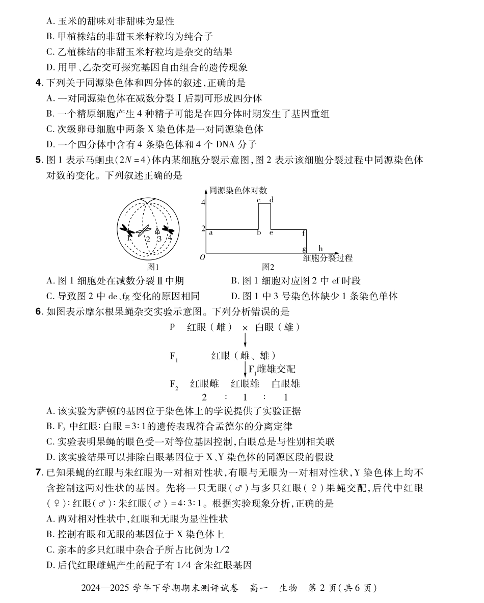 生物试卷搞一下期末考【河南卷】【高一下期末考】河南省郑州市中牟县2024-2025学年高一下学期6月期末测评（6.17-6.18）.pdf_第2页