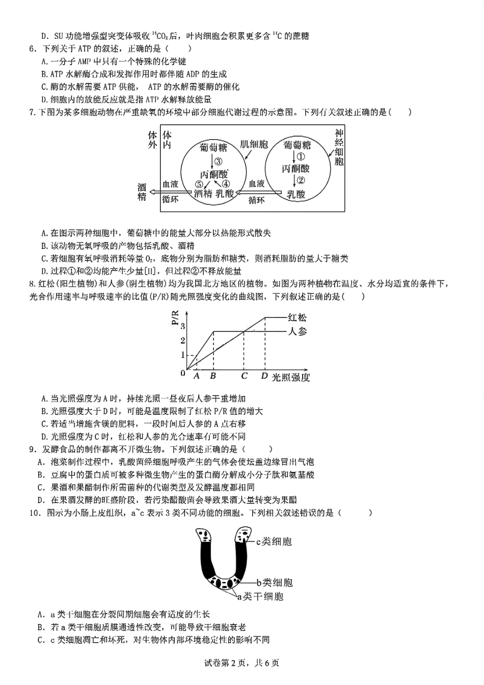 四川省成都市第七中学2024-2025学年高二下学期2026届零诊模拟考试生物试题.pdf_第2页
