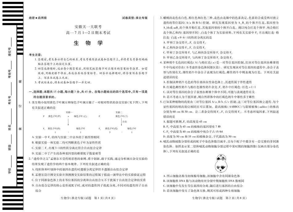 天一大联考安徽省2024-2025学年（下）高一年级期末考试生物学(淮北专版)徽高一7月期末试卷.pdf_第1页