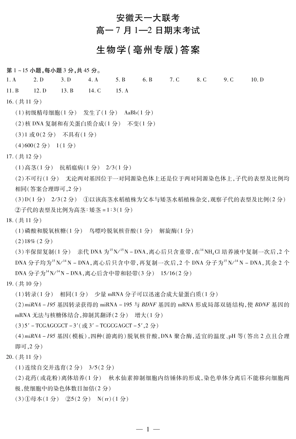 天一大联考安徽省2024-2025学年（下）高一年级期末考试生物学亳州专版安徽高一7月1-2日期末考试简答.pdf_第1页