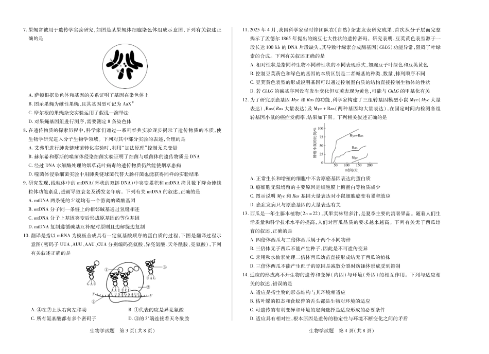 天一大联考安徽省2024-2025学年（下）高一年级期末考试生物学徽高一7月期末试卷.pdf_第2页