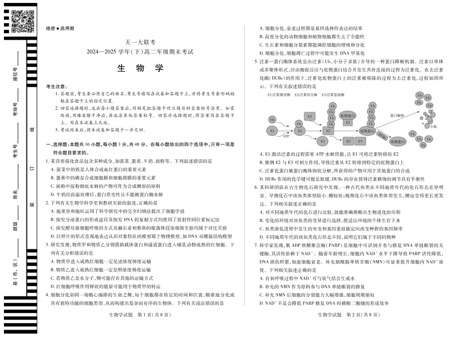 天一大联考河南省2024-2025学年（下）高二年级期末考试生物高二下期末试卷.pdf_第1页