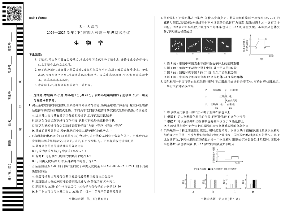 天一大联考河南省2024-2025学年（下）南阳六校高一年级期末考试(8K,4页)生物南阳六校高一下期末单色.pdf_第1页