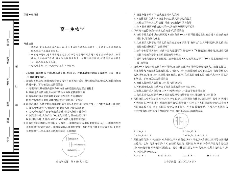 天一大联考湖南省2024-2025学年（下）高一年级期末考试(8K,4页)生物学湖南高一期末单色.pdf_第1页