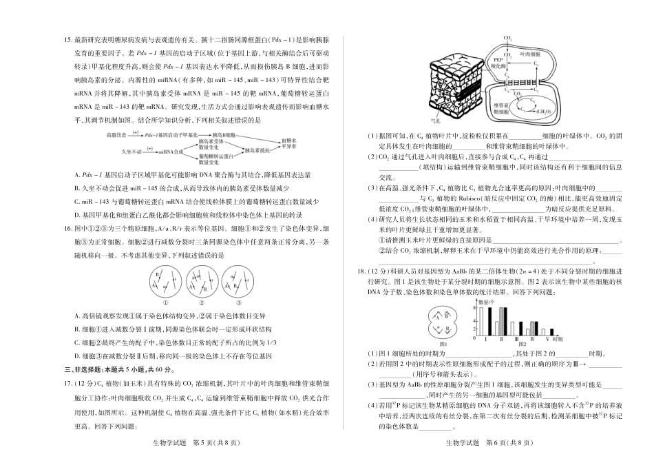 天一大联考湖南省2024-2025学年（下）高一年级期末考试(8K,4页)生物学湖南高一期末单色.pdf_第3页