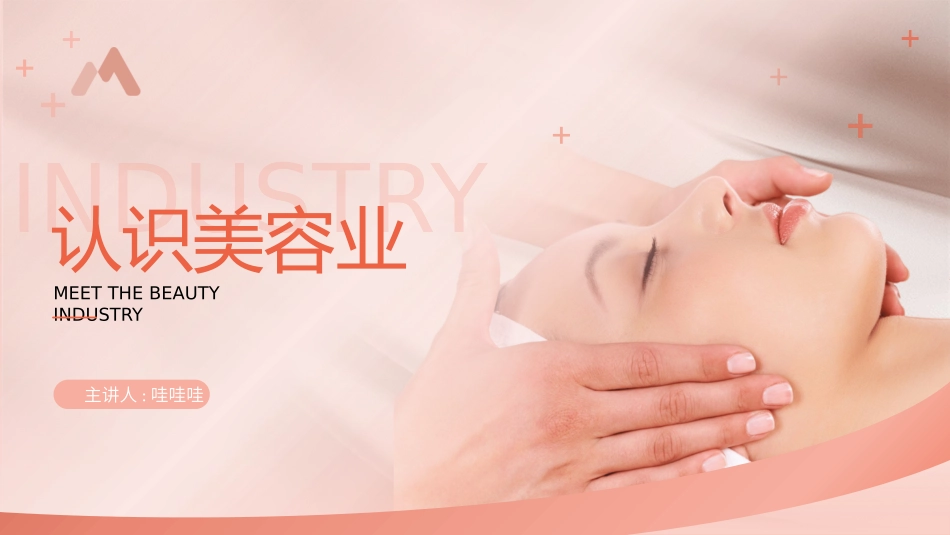 认识美容业培训2.pptx_第1页