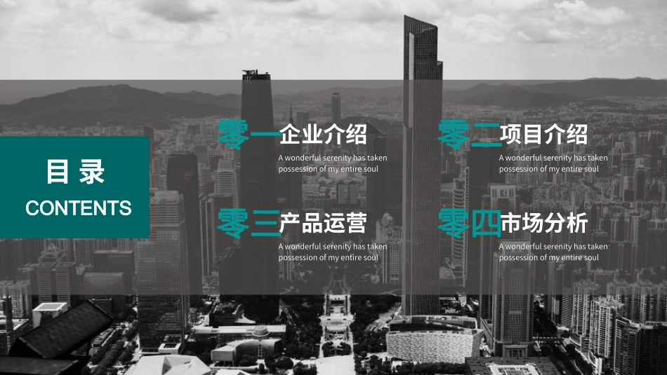 商业计划书PPT模板69.ppt_第2页