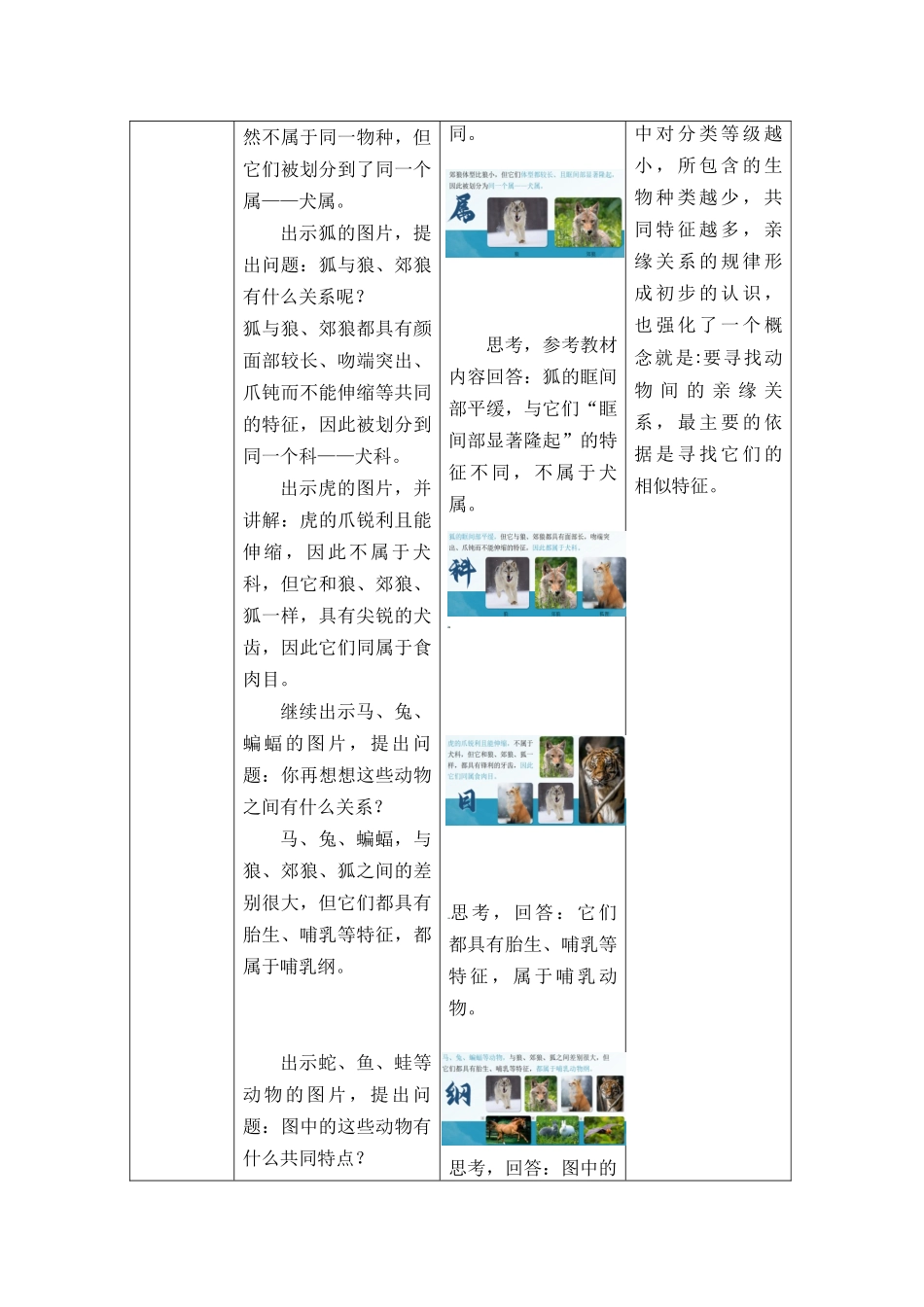生物人教版24新版本七年级初一初一上册2.4.2从种到界教学教案含答案.docx_第3页