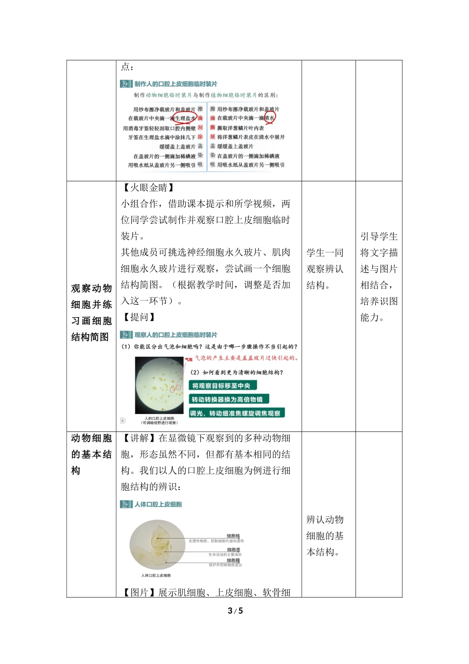 生物人教版2024版七年级上册1.2.3动物细胞教案02.docx_第3页