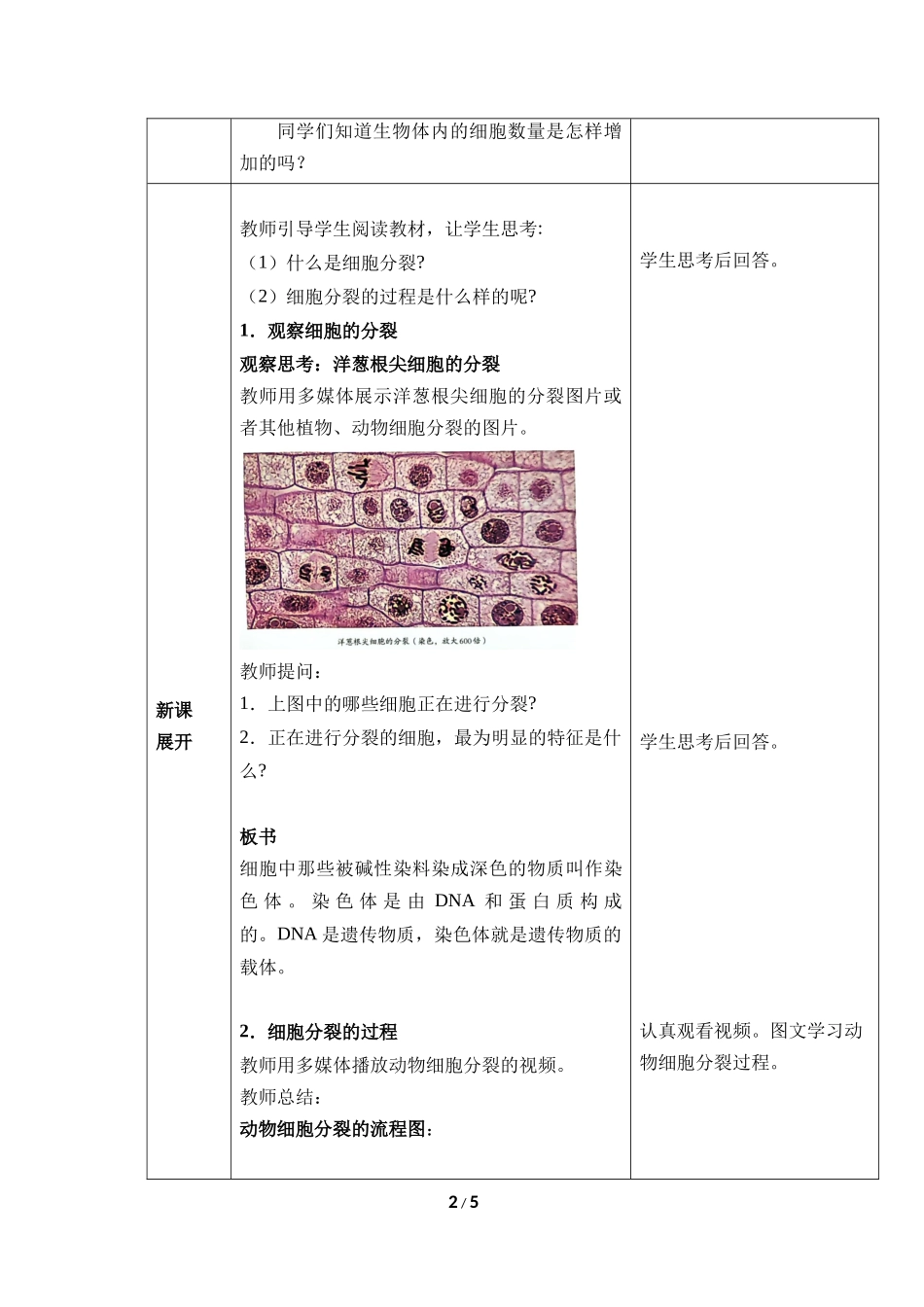 生物人教版2024版七年级上册1.3.1细胞通过分裂产生新细胞教学教案03.docx_第2页