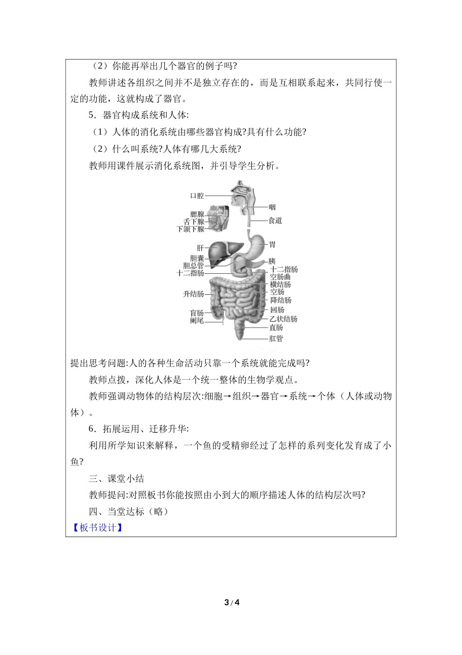 生物人教版2024版七年级上册1.3.2动物体的结构层次教学教案02.docx_第3页