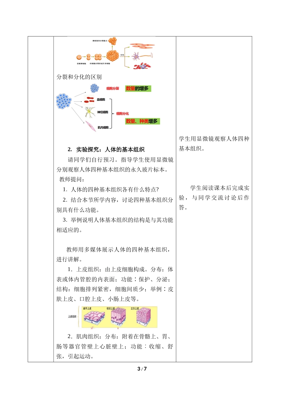 生物人教版2024版七年级上册1.3.2动物体的结构层次教学教案03.docx_第3页