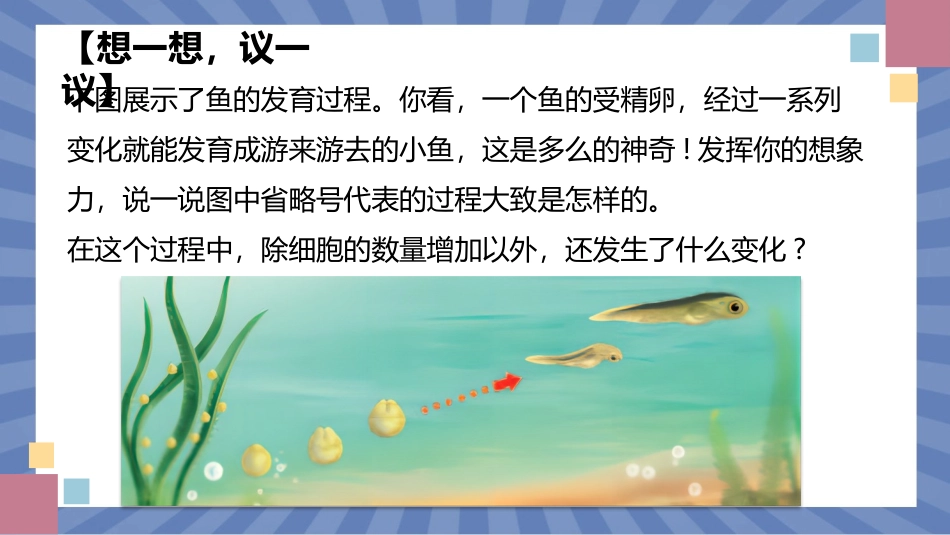 生物人教版2024版七年级上册1.3.2动物体的结构层次课件03.pptx_第3页