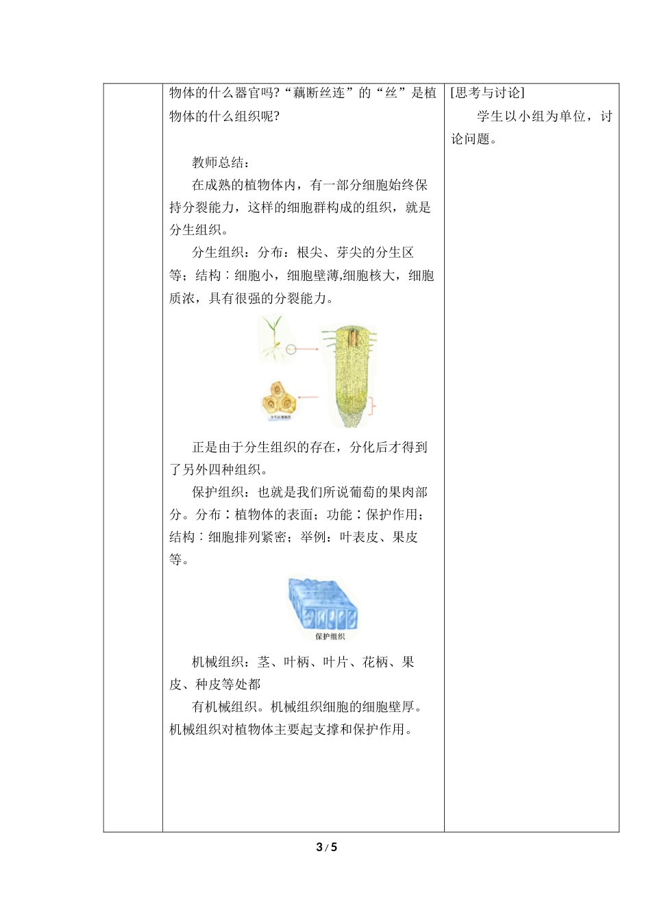 生物人教版2024版七年级上册1.3.3植物体的结构层次教学教案03.docx_第3页