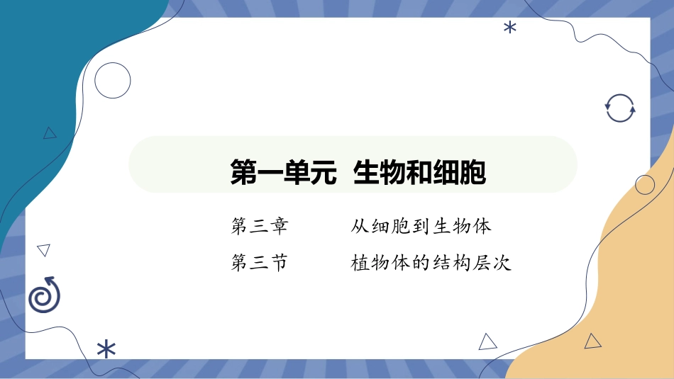 生物人教版2024版七年级上册1.3.3植物体的结构层次课件03.pptx_第1页