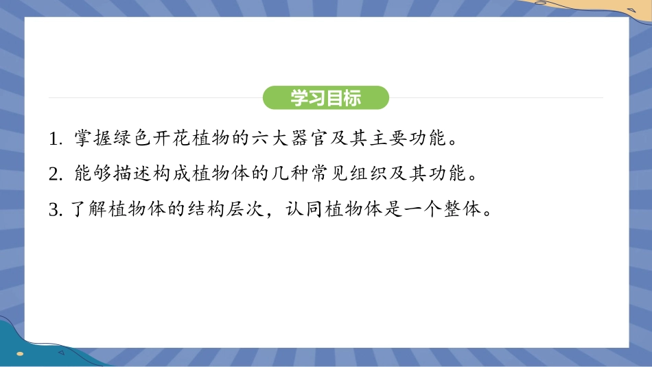 生物人教版2024版七年级上册1.3.3植物体的结构层次课件03.pptx_第2页