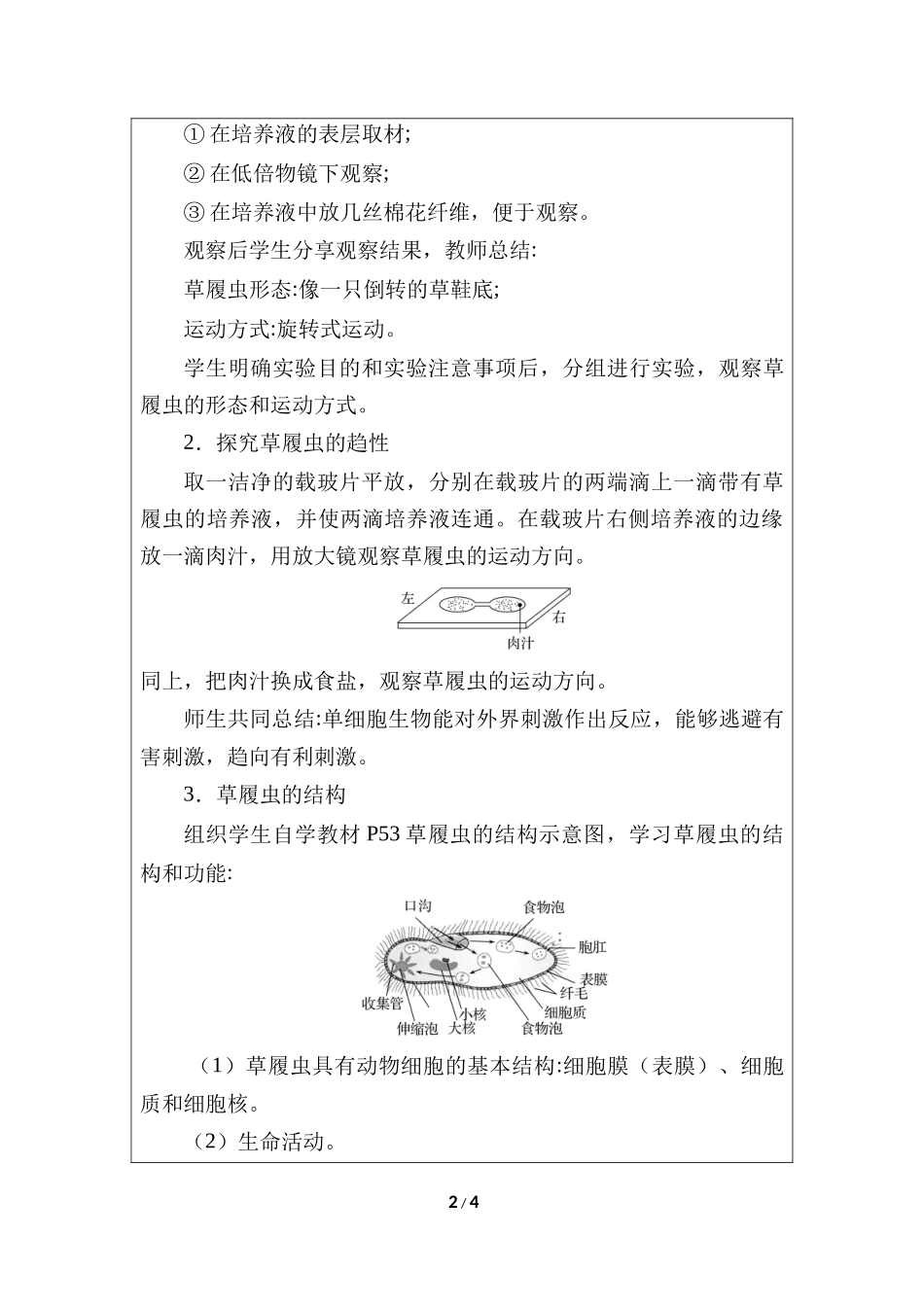 生物人教版2024版七年级上册1.3.4单细胞生物教学教案02.docx_第2页