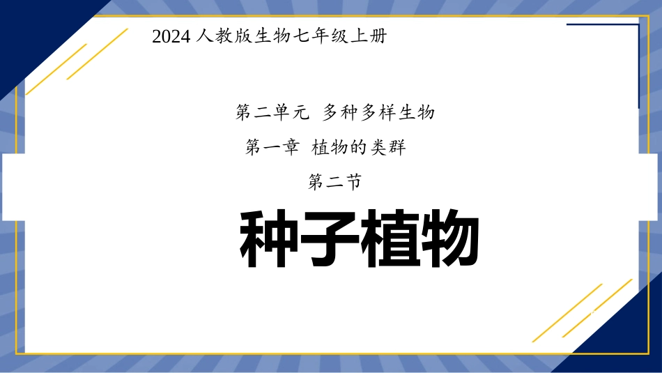 生物人教版2024版七年级上册2.1.2种子植物课件02.pptx_第1页
