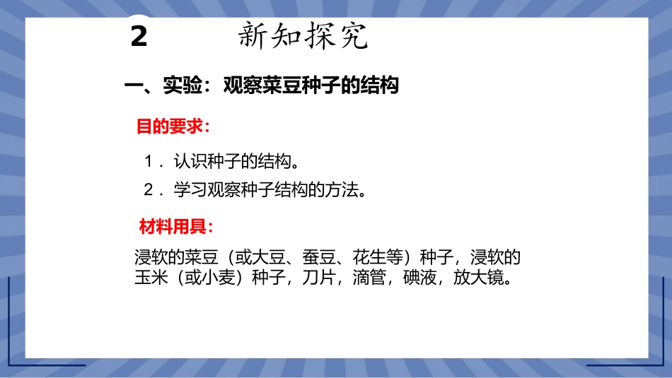 生物人教版2024版七年级上册2.1.2种子植物课件02.pptx_第3页