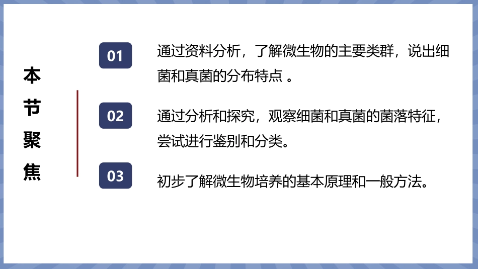 生物人教版2024版七年级上册2.3.1微生物的分布课件03.pptx_第2页