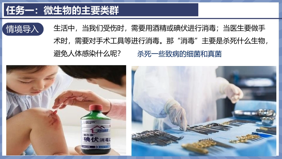 生物人教版2024版七年级上册2.3.1微生物的分布课件03.pptx_第3页