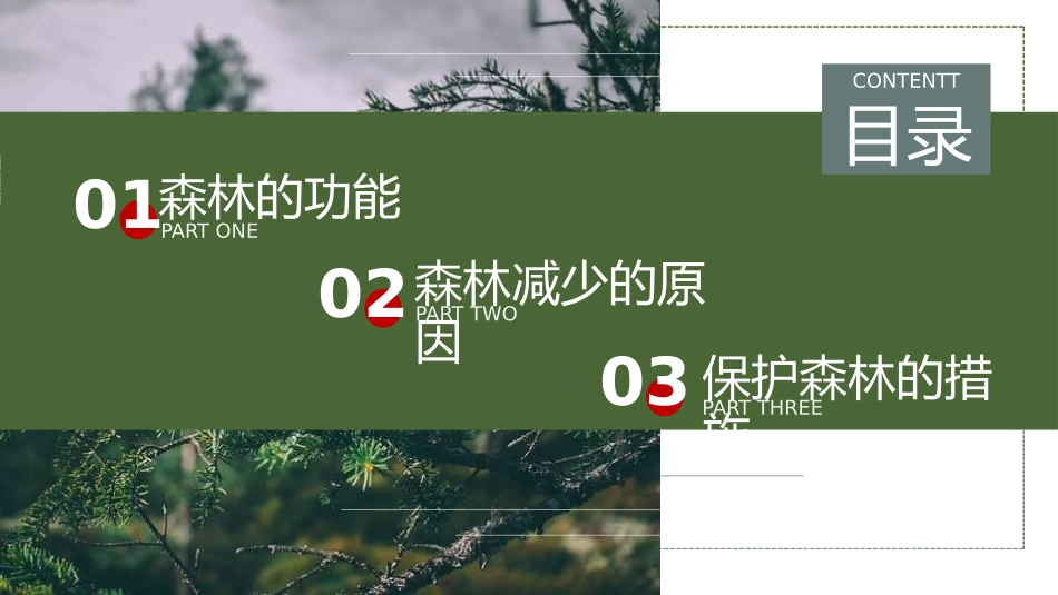 世界森林日保护森林主题34.pptx_第2页