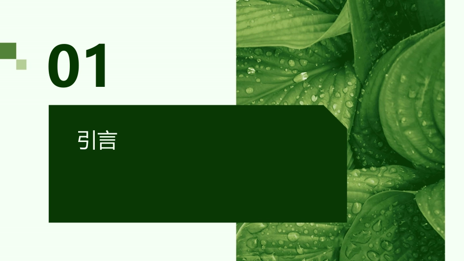 世界无烟日主题班会课件.pptx_第3页