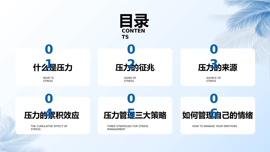 压力与情绪管理.pptx_第2页