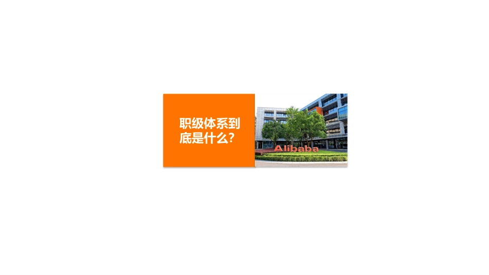 【案例】阿里人才队员级体系搭建.pptx_第3页