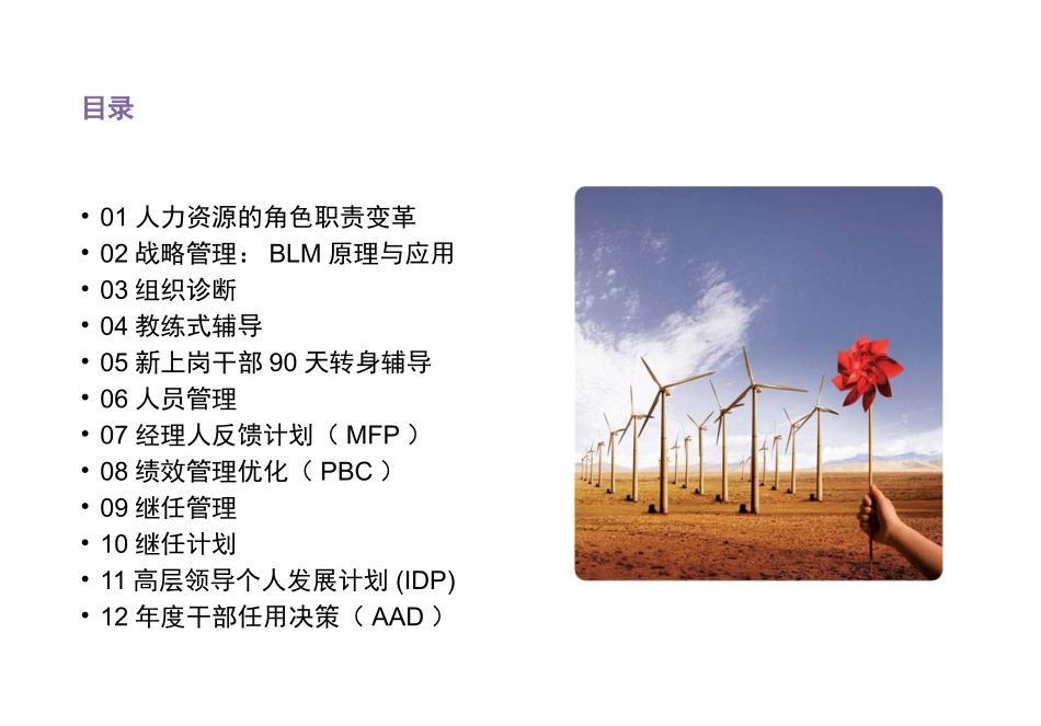 华为战略人力资源管理体系建设方案.pptx_第2页