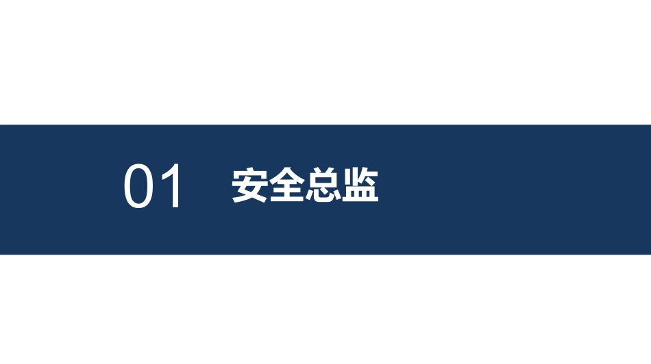 安全总监的未来与成长.pptx_第3页