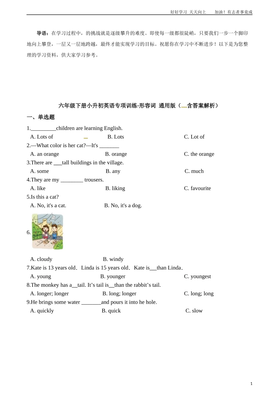 六年级下册英语试题-小升初英语专项训练形容词版含答案解析.docx_第1页