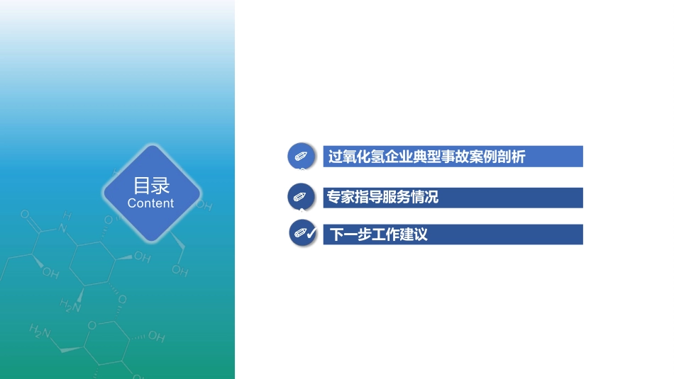 2024年过氧化氢生产企业专家指导服务反馈.pptx_第2页