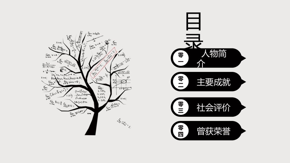 文学人物华罗庚赏析.pptx_第2页