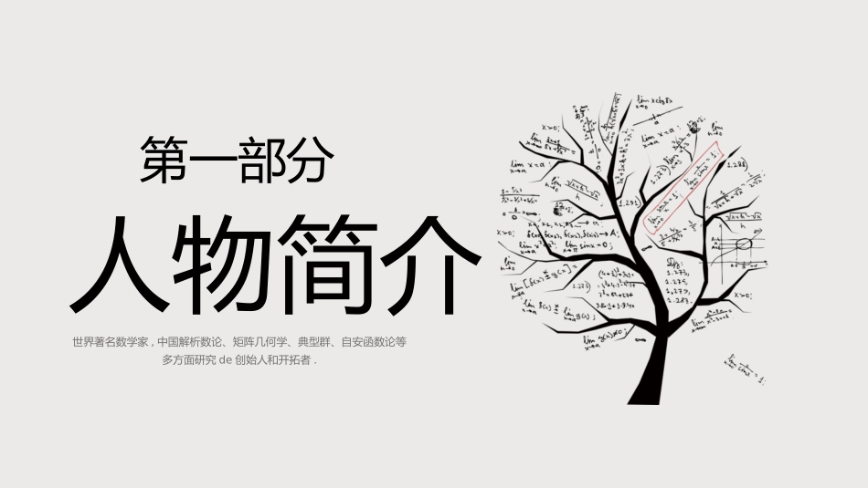 文学人物华罗庚赏析.pptx_第3页