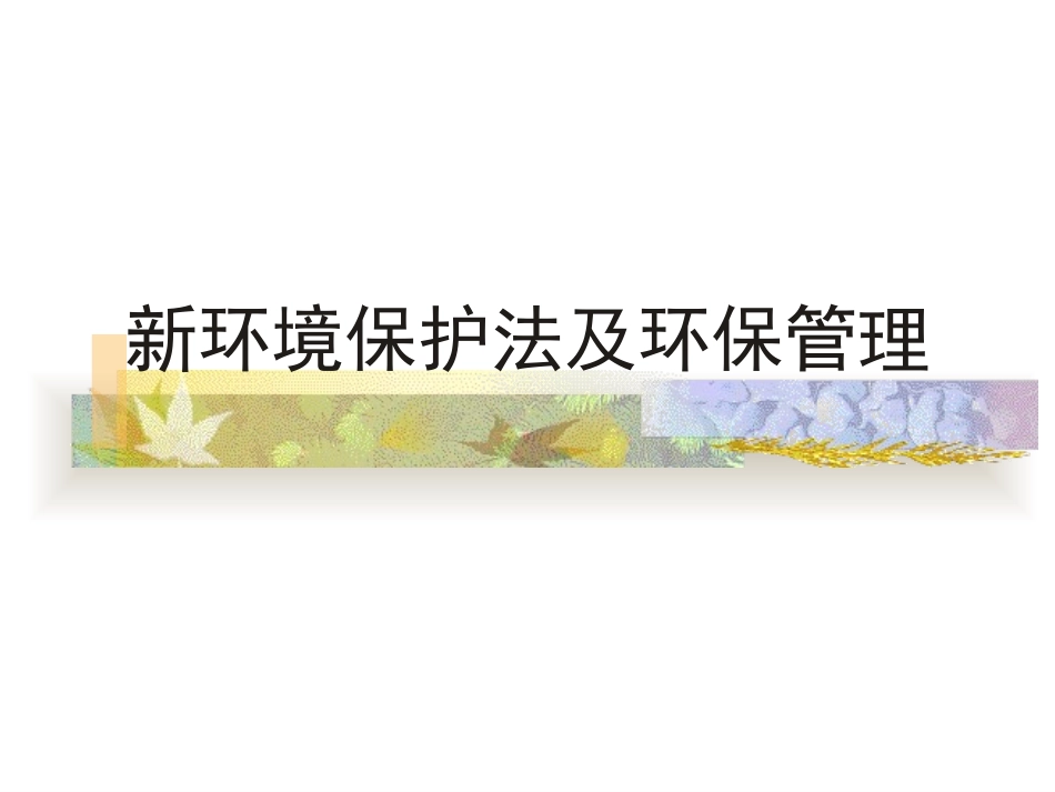 新环境保护法及环保管理.ppt_第1页